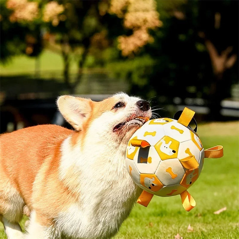 Balle de foot pour chien avec poignées