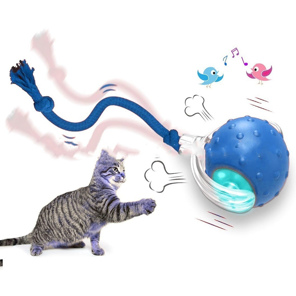 Balle pour chat intelligente