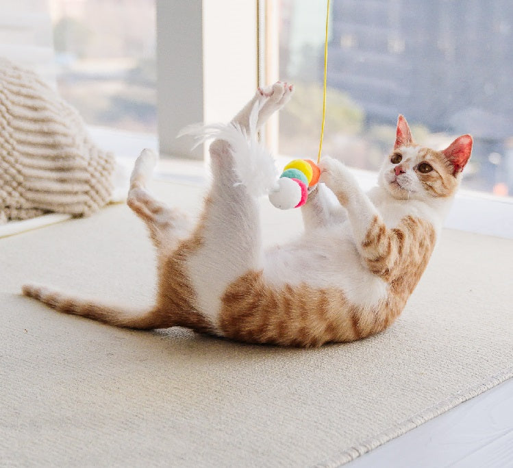 Jouet pour chat suspendue