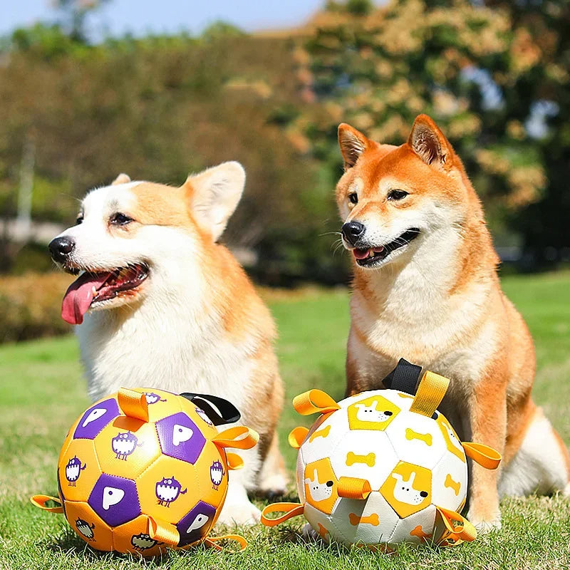 Balle de foot pour chien avec poignées