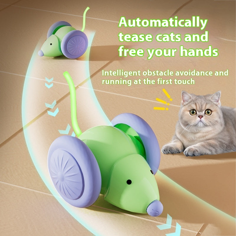 Jouet souris électrique pour chat