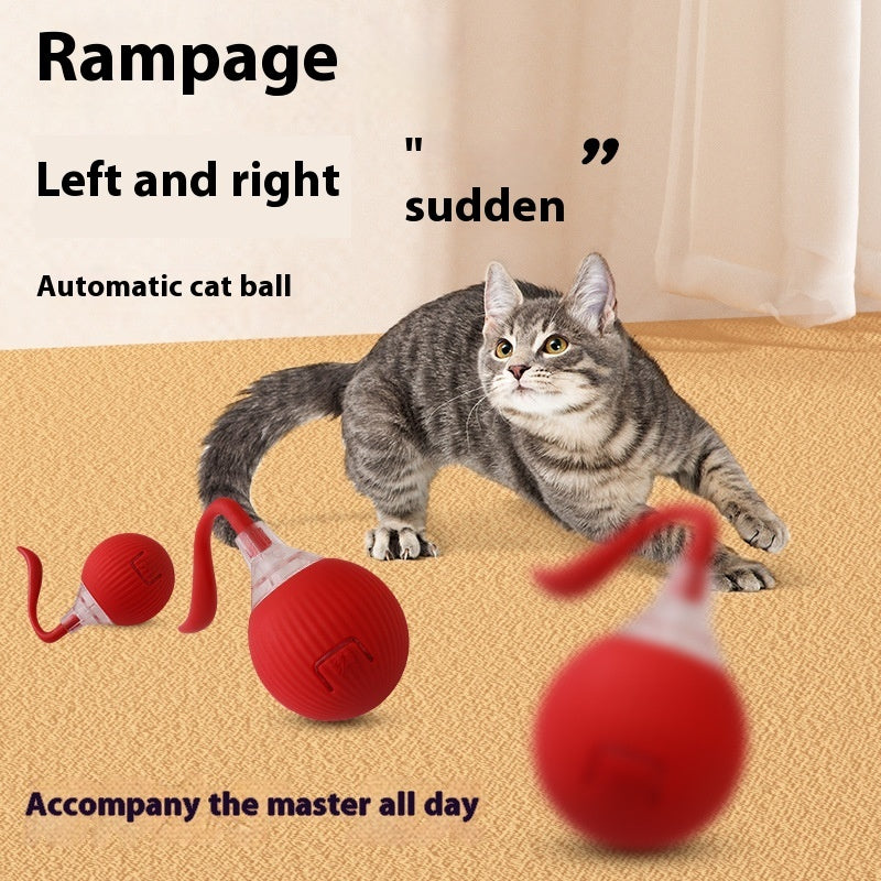 Balle pour chat intelligente