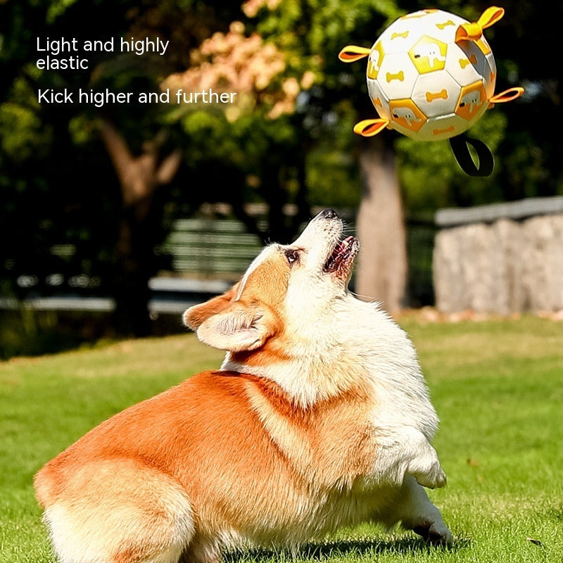 Balle de foot pour chien avec poignées