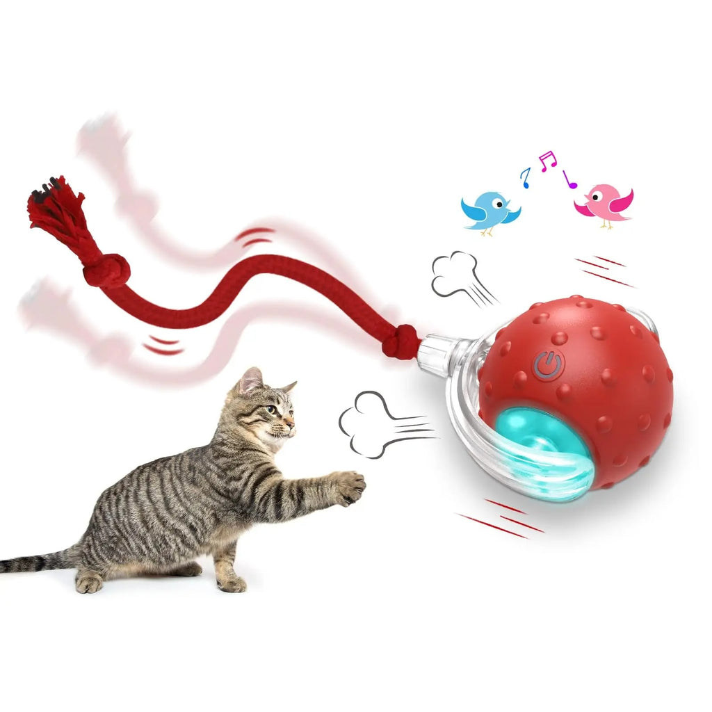 Balle pour chat intelligente
