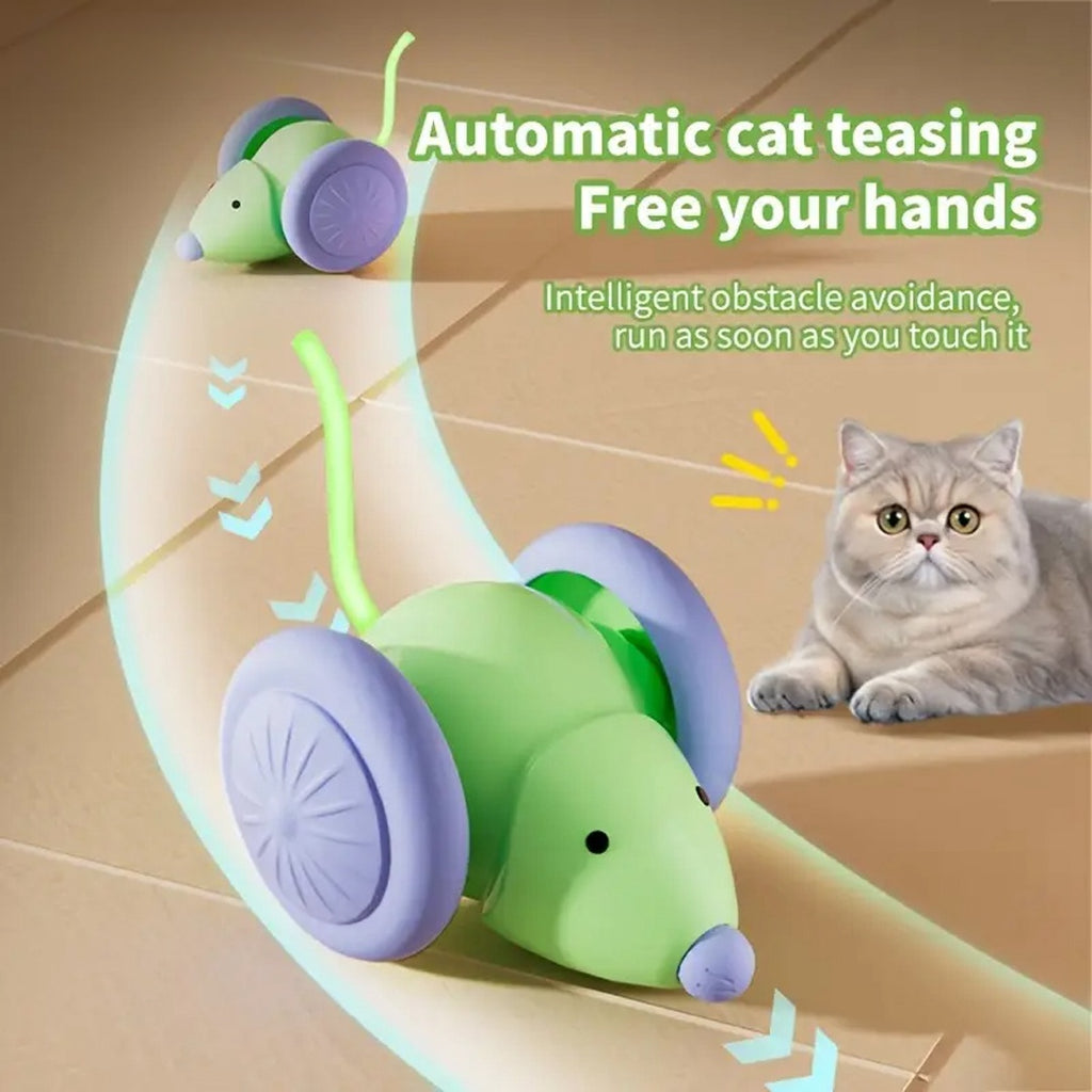 Jouet souris électrique pour chat